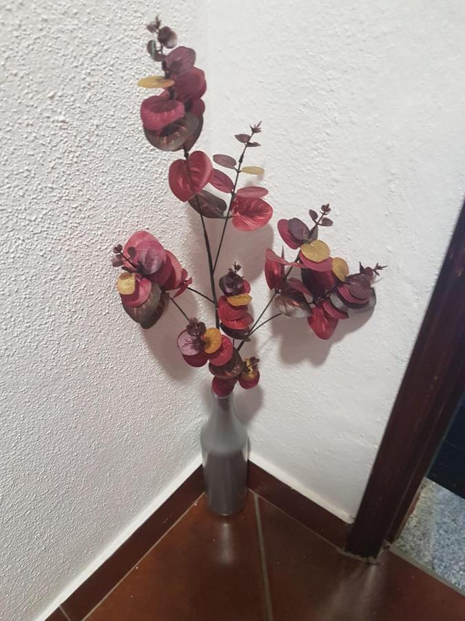 Fundão Casa Dos Avos E Netosヴィラ エクステリア 写真